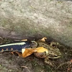 Meet your Posher, Timothy